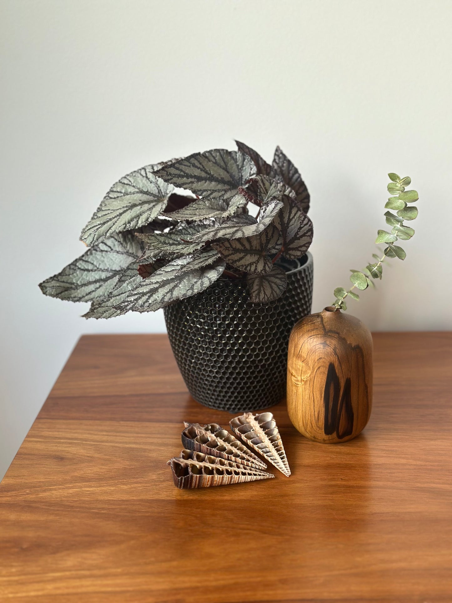 rounded bottle vase