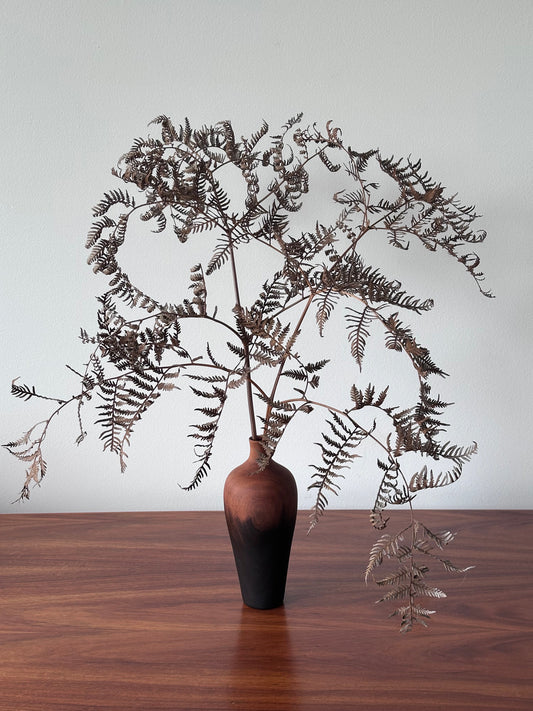 VSE-MYR-251002-5 - with fern.jpeg